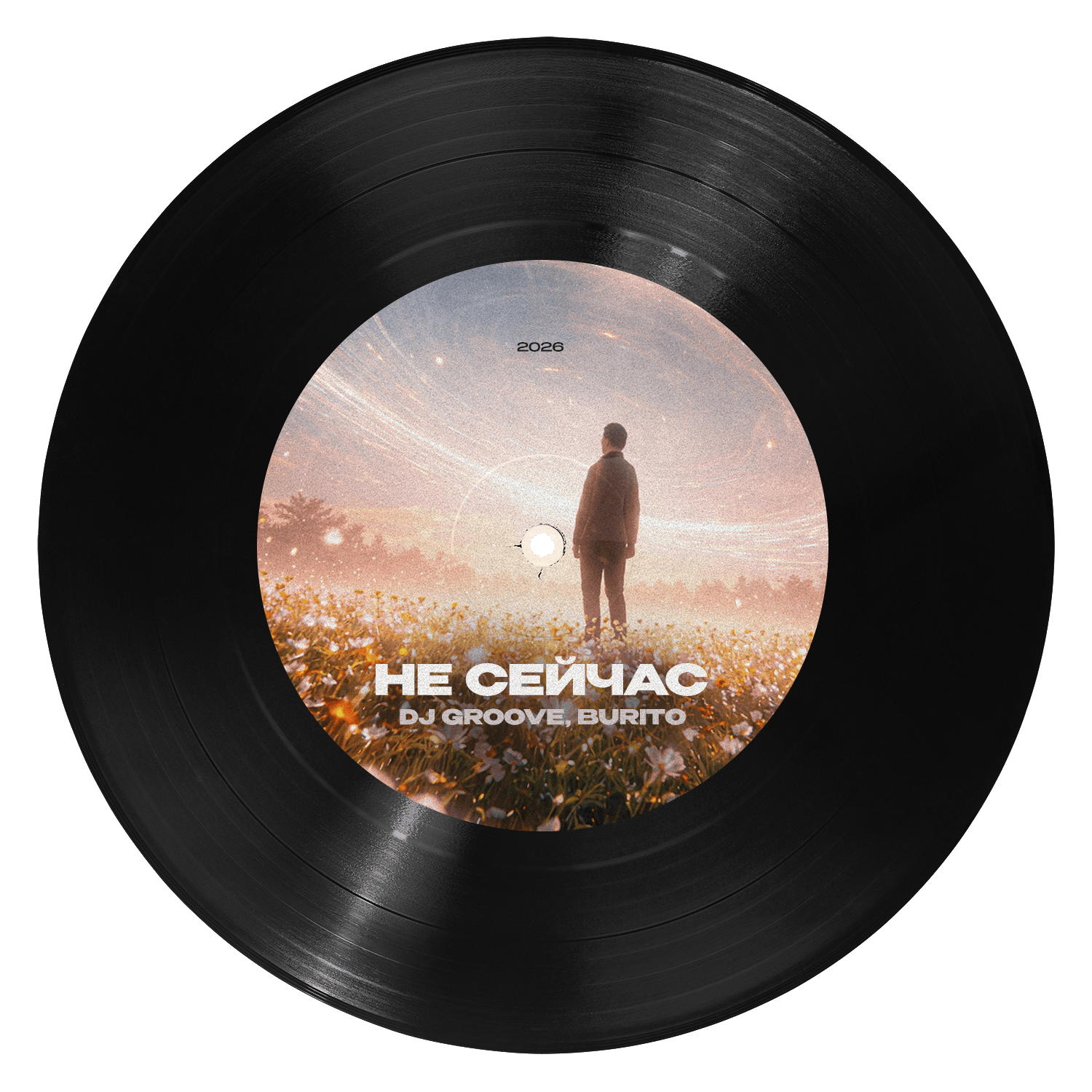 vinyl